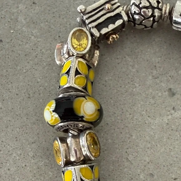 Pandora Black and Yellow Floral Charm Bracelet - Picture 3 of 5